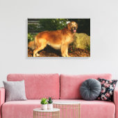 Golden Retriever Panting Canvas Afdruk (Insitu (Woonkamer))