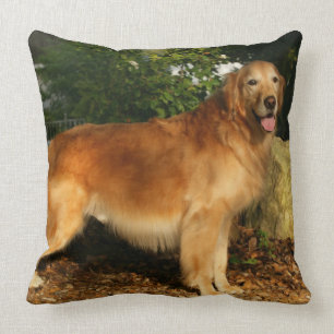 Golden Retriever Panting Kussen