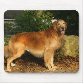 Golden Retriever Panting Muismat (Voorkant)