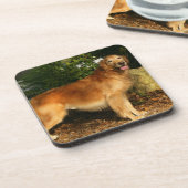 Golden Retriever Panting Onderzetter (Linkerzijde)