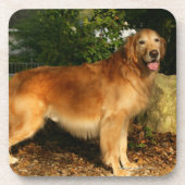 Golden Retriever Panting Onderzetter (Voorkant)