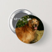 Golden Retriever Panting Ronde Button 5,7 Cm (Voorkant /achterkant)