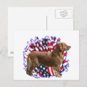 Golden Retriever Patriot Briefkaart (Voorkant / Achterkant)
