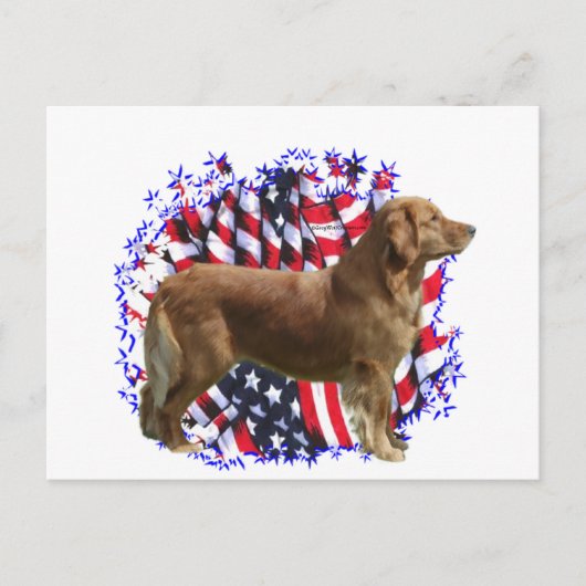 Golden Retriever Patriot Briefkaart (Voorkant)