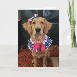 Golden Retriever patriottisch, 4 juli groeten Bedankkaart