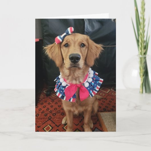 Golden Retriever patriottisch, 4 juli groeten Bedankkaart (Voorkant)