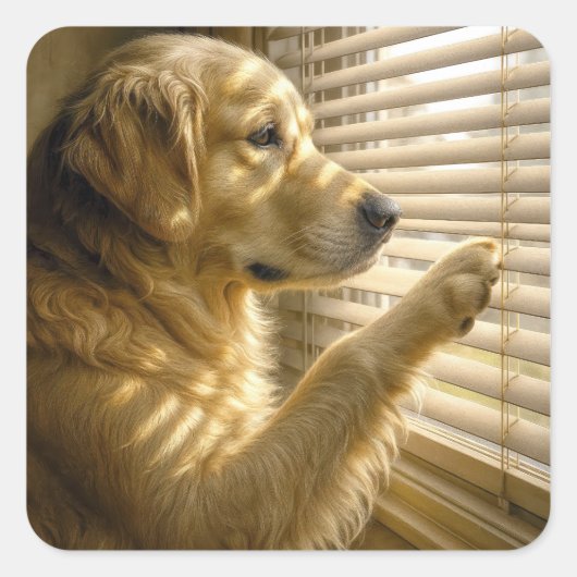 Golden Retriever Peeking Through Blinds Vierkante Sticker (Voorkant)
