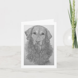 Golden Retriever Pencil Art Notecard Kaart