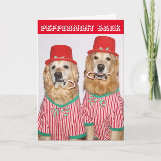 Golden Retriever Peppermint Bark Kaart (Voorkant)
