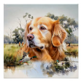 Golden Retriever Perfect Poster (Voorkant)