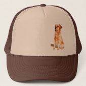 Golden Retriever Pet (Voorkant)