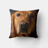 Golden Retriever Pet Dog Sierkussen Home Decor (Achterkant)