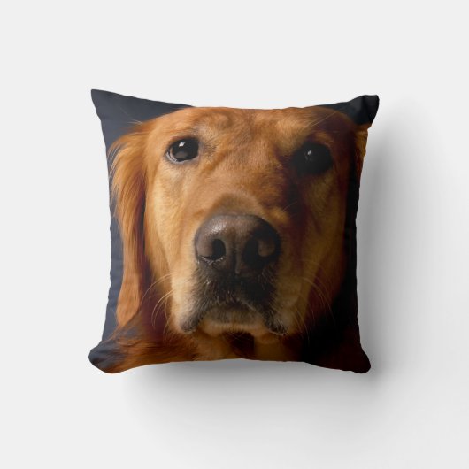 Golden Retriever Pet Dog Sierkussen Home Decor (Voorkant)