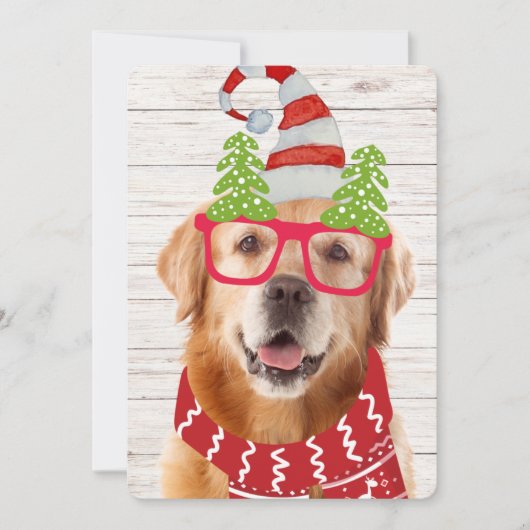 Golden Retriever Pet Scarf Funny Feestdagenkaart (Voorkant)