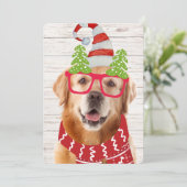 Golden Retriever Pet Scarf Funny Feestdagenkaart (Staand voorkant)