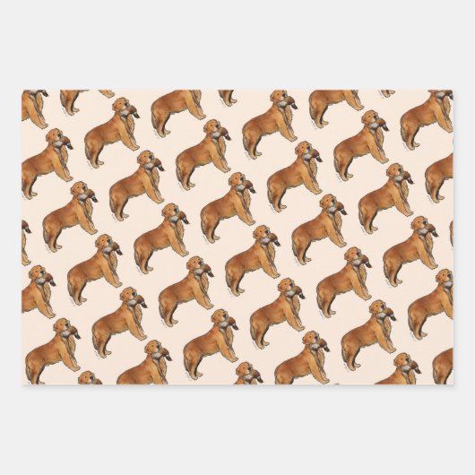 Golden Retriever Pheasant Inpakpapier Vel (Voorkant 3)