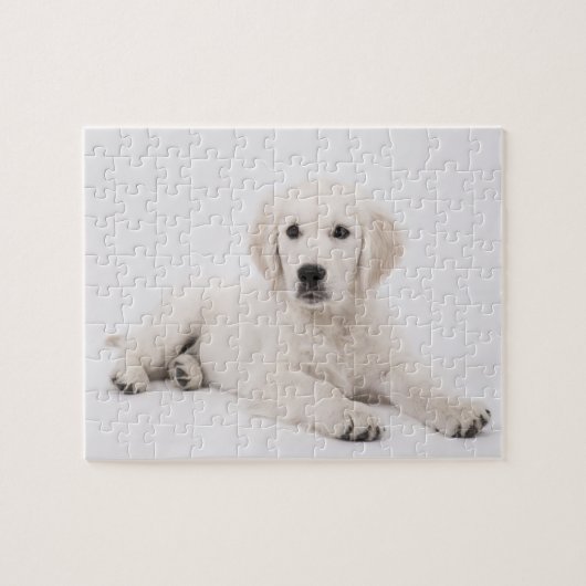 Golden Retriever Photo Legpuzzel (Horizontaal)