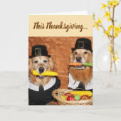Golden Retriever Pilgrim's Bounty Thanksgiving Kaart (Gele Bloem)