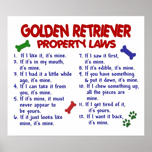 GOLDEN RETRIEVER PL2 POSTER (Voorkant)