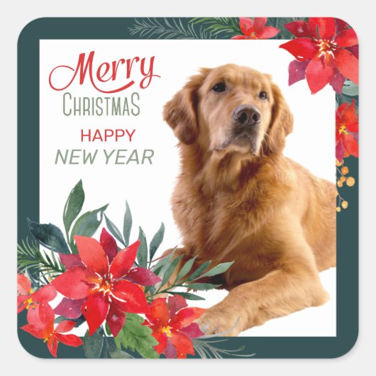 Golden Retriever Poinsettia Bouquet kerst Vierkante Sticker (Voorkant)