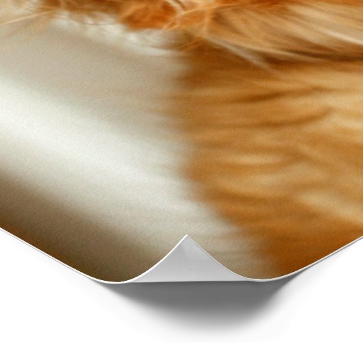 Golden Retriever Portrait Poster (Hoek)