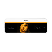 Golden Retriever Portret Adres Label (Voorkant)