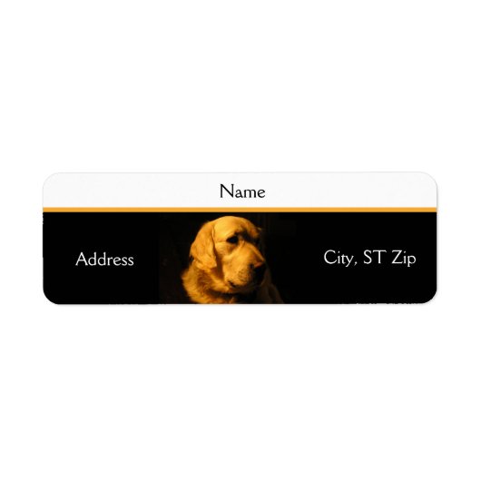 Golden Retriever Portret Adres Label (Voorkant)