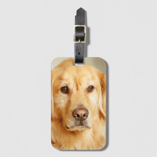 Golden Retriever Portret Bagagelabel (Voorkant (verticaal))