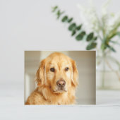 Golden Retriever Portret Briefkaart (Staand voorkant)