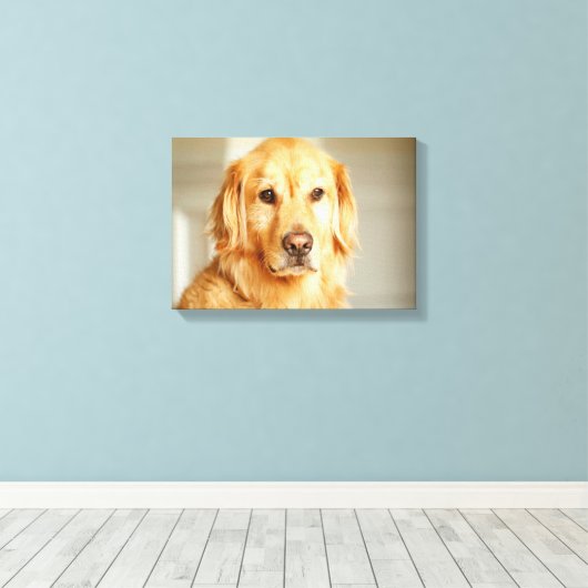 Golden Retriever Portret Canvas Afdruk (Insitu (Houten vloer))