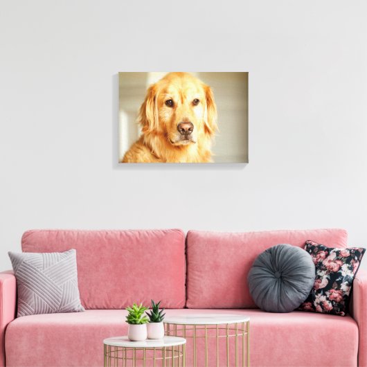 Golden Retriever Portret Canvas Afdruk (Insitu (Woonkamer))