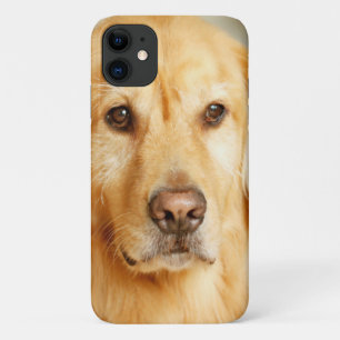 Golden Retriever Portret Case-Mate iPhone Case