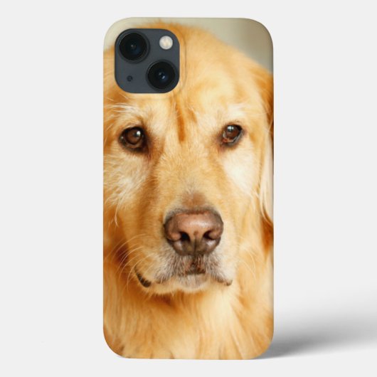 Golden Retriever Portret Case-Mate iPhone Case (Achterkant)