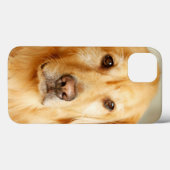 Golden Retriever Portret Case-Mate iPhone Case (Achterkant (horizontaal))