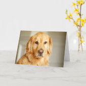 Golden Retriever Portret Kaart (Gele Bloem)