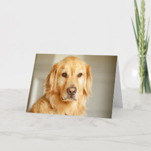 Golden Retriever Portret Kaart