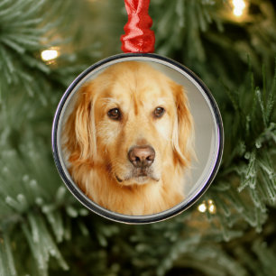 Golden Retriever Portret Metalen Ornament