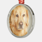 Golden Retriever Portret Metalen Ornament (Links)
