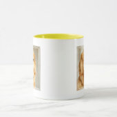 Golden Retriever Portret Mok (Midden)