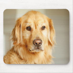 Golden Retriever Portret Muismat