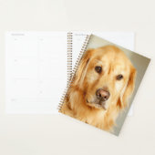 Golden Retriever Portret Planner (Display)