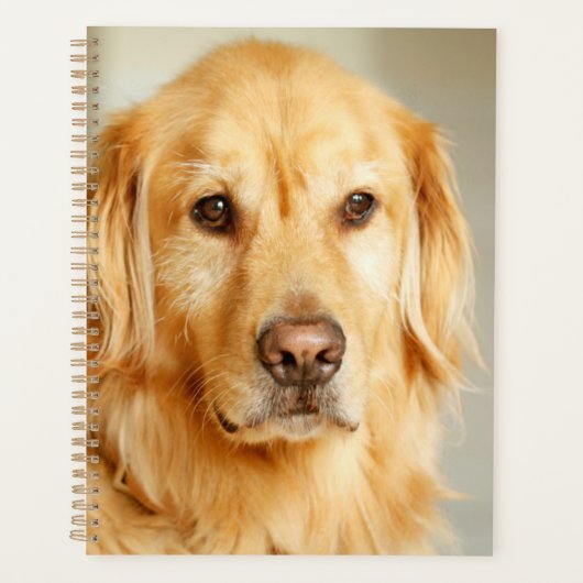 Golden Retriever Portret Planner (Voorkant)