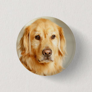 Golden Retriever Portret Ronde Button 3,2 Cm