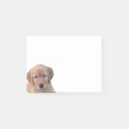 Golden Retriever Post-it Note Pad (Voorkant)