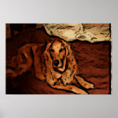 Golden Retriever Poster (Voorkant)