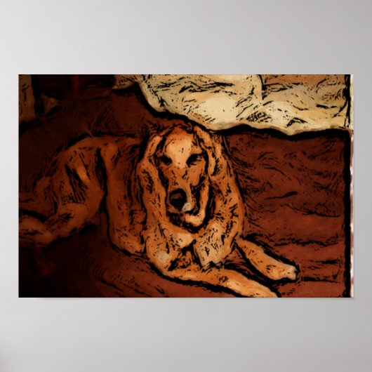 Golden Retriever Poster (Voorkant)