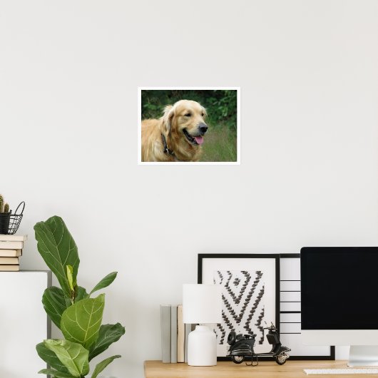 Golden Retriever Poster (Thuiskantoor)