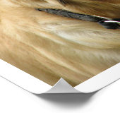 Golden Retriever Poster (Hoek)