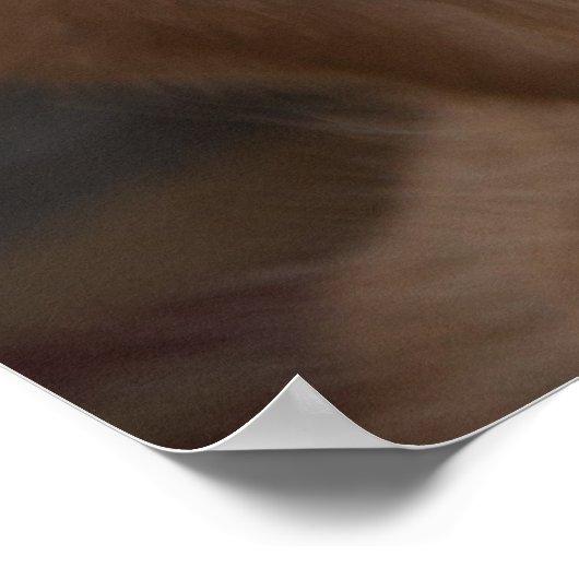 Golden Retriever Poster (Hoek)