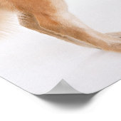 Golden Retriever Poster (Hoek)